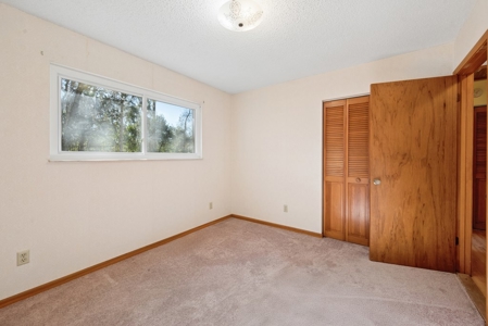 Your Next Home! Trenton, FL ~ 3 Bedroom 2 Bath on 2 Acres - image 13