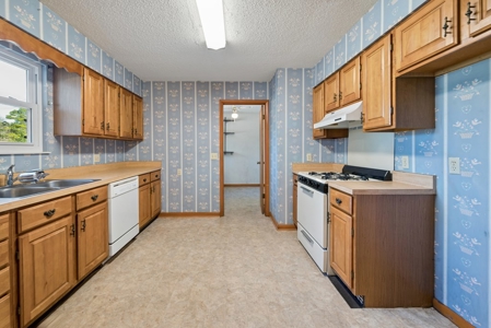 Your Next Home! Trenton, FL ~ 3 Bedroom 2 Bath on 2 Acres - image 18