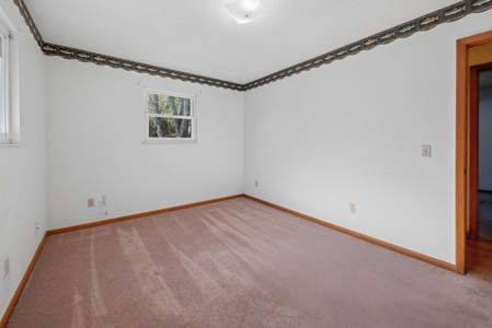 Your Next Home! Trenton, FL ~ 3 Bedroom 2 Bath on 2 Acres - image 10