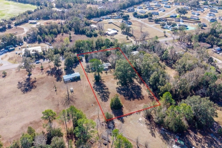 Your Next Home! Trenton, FL ~ 3 Bedroom 2 Bath on 2 Acres - image 2