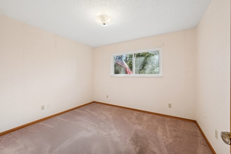 Your Next Home! Trenton, FL ~ 3 Bedroom 2 Bath on 2 Acres - image 9