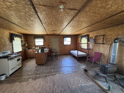 Land With Off-Grid Cabin For Sale In North Central Arkansas - image 29