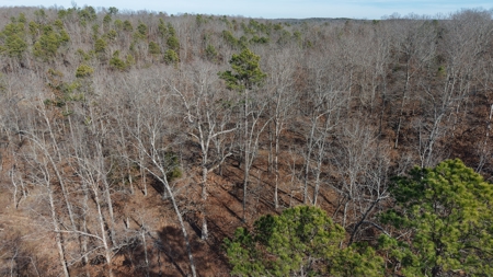 Land With Off-Grid Cabin For Sale In North Central Arkansas - image 11