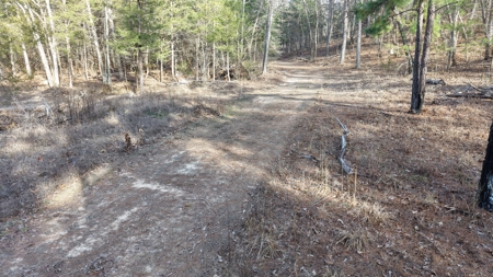 Land With Off-Grid Cabin For Sale In North Central Arkansas - image 46