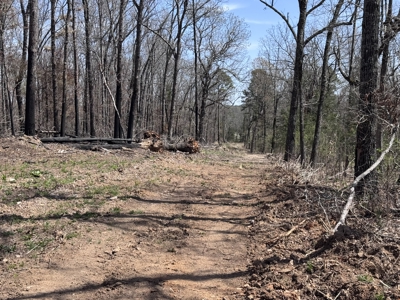 Land With Off-Grid Cabin For Sale In North Central Arkansas - image 44