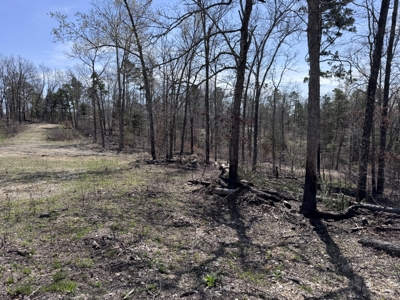 Land With Off-Grid Cabin For Sale In North Central Arkansas - image 41
