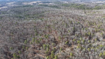 Land With Off-Grid Cabin For Sale In North Central Arkansas - image 17