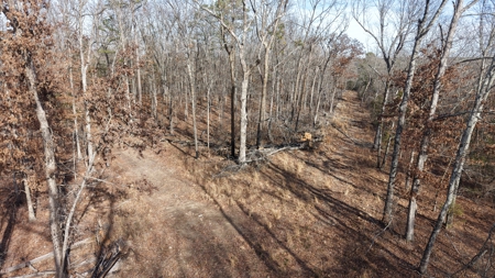 Land With Off-Grid Cabin For Sale In North Central Arkansas - image 19