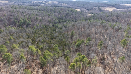 Land With Off-Grid Cabin For Sale In North Central Arkansas - image 10