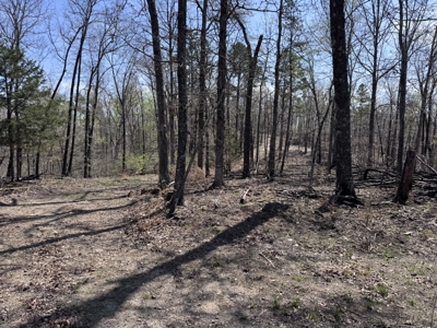 Land With Off-Grid Cabin For Sale In North Central Arkansas - image 42