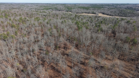 Land With Off-Grid Cabin For Sale In North Central Arkansas - image 14