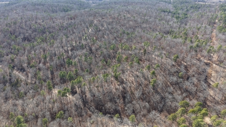 Land With Off-Grid Cabin For Sale In North Central Arkansas - image 18
