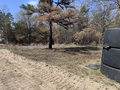 Land With Off-Grid Cabin For Sale In North Central Arkansas - image 35