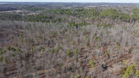 Land With Off-Grid Cabin For Sale In North Central Arkansas - image 15