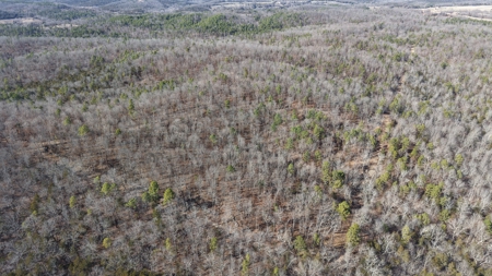 Land With Off-Grid Cabin For Sale In North Central Arkansas - image 16
