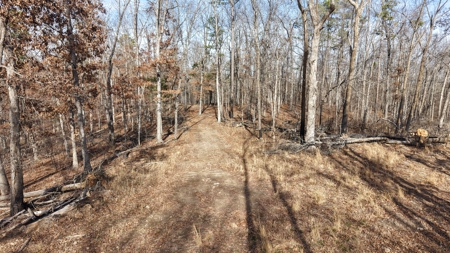 Land With Off-Grid Cabin For Sale In North Central Arkansas - image 9