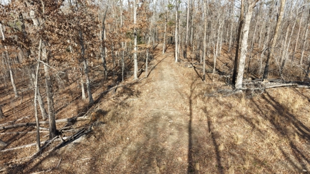 Land With Off-Grid Cabin For Sale In North Central Arkansas - image 8