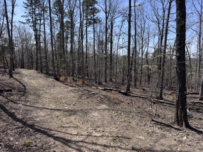 Land With Off-Grid Cabin For Sale In North Central Arkansas - image 43