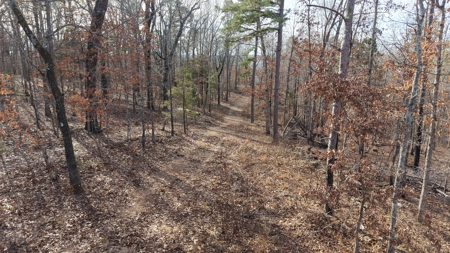 Land With Off-Grid Cabin For Sale In North Central Arkansas - image 20