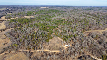 Land With Off-Grid Cabin For Sale In North Central Arkansas - image 2