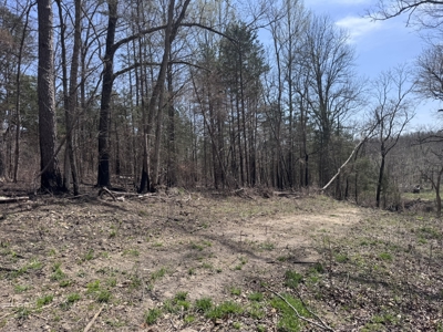 Land With Off-Grid Cabin For Sale In North Central Arkansas - image 36
