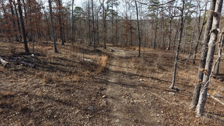 Land With Off-Grid Cabin For Sale In North Central Arkansas - image 13