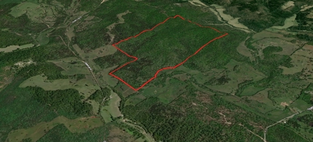 Land With Off-Grid Cabin For Sale In North Central Arkansas - image 47