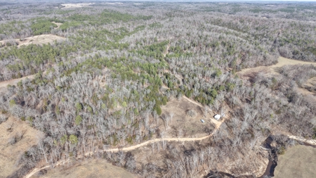 Land With Off-Grid Cabin For Sale In North Central Arkansas - image 3