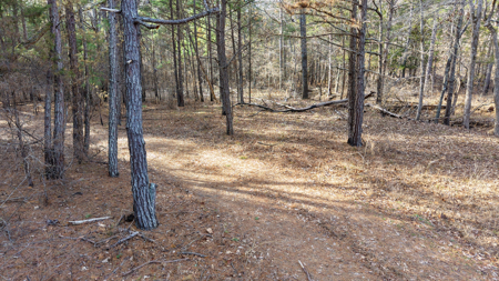 Land With Off-Grid Cabin For Sale In North Central Arkansas - image 39