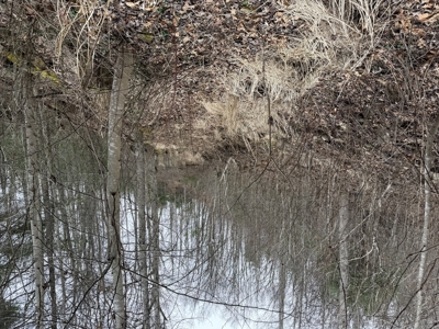 Mountain Home In Marshall County - image 14
