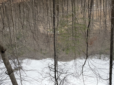 Mountain Home In Marshall County - image 17