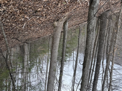 Mountain Home In Marshall County - image 16