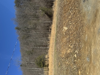 Mountain Home In Marshall County - image 6