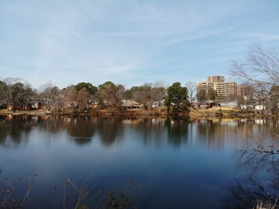 Lakefront Living in the Heart of Little Rock - image 29