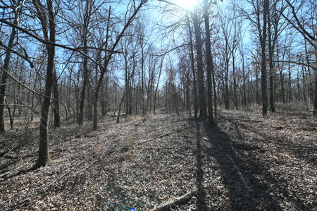 Home For Sale Stockton Missouri - image 34