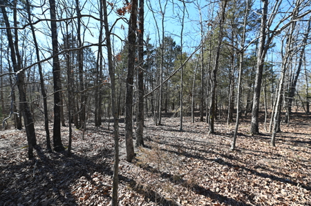 Home For Sale Stockton Missouri - image 29