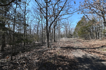 Home For Sale Stockton Missouri - image 31