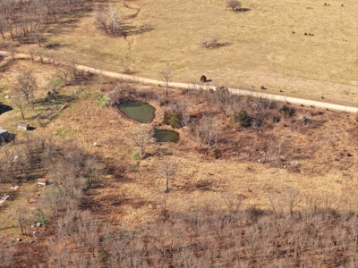 Home For Sale Stockton Missouri - image 11