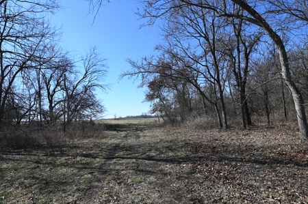 Home For Sale Stockton Missouri - image 25