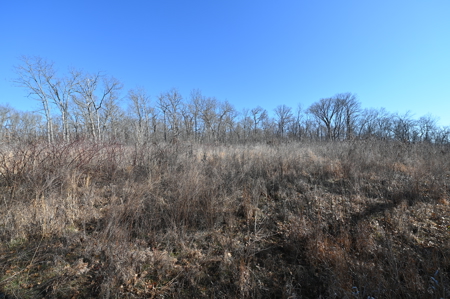 Home For Sale Stockton Missouri - image 18