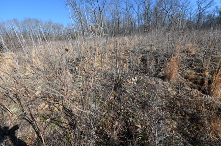 Home For Sale Stockton Missouri - image 19