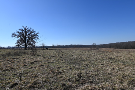 Home For Sale Stockton Missouri - image 21