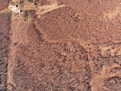 Home For Sale Stockton Missouri - image 13