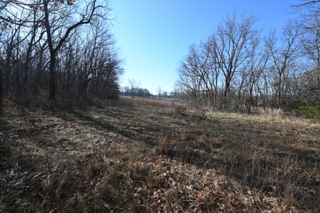 Home For Sale Stockton Missouri - image 16