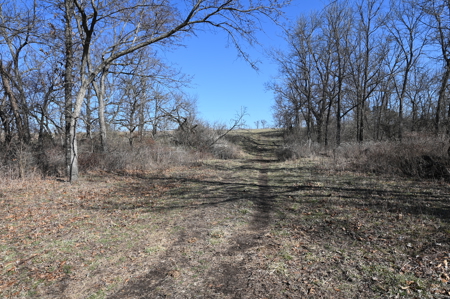 Home For Sale Stockton Missouri - image 24