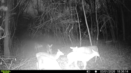 Home For Sale Stockton Missouri - image 40