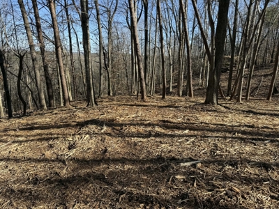 Building Lot Available at Spring Creek Airpark! - image 8