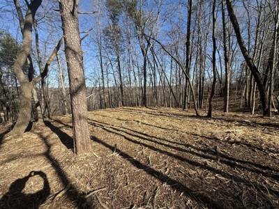 Building Lot Available at Spring Creek Airpark! - image 7