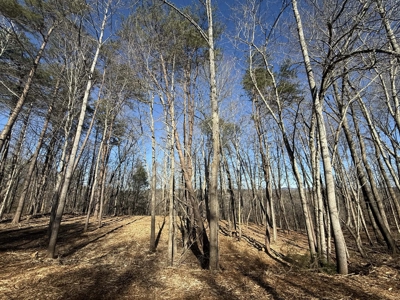 Building Lot Available at Spring Creek Airpark! - image 4