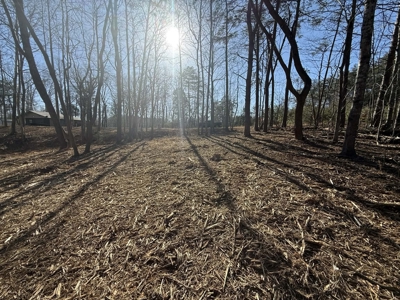 Building Lot Available at Spring Creek Airpark! - image 10